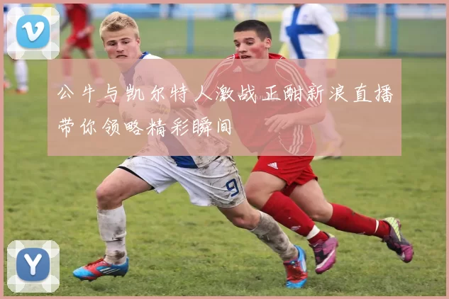 公牛与凯尔特人激战正酣新浪直播带你领略精彩瞬间