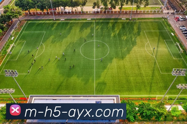 App Interface Preview