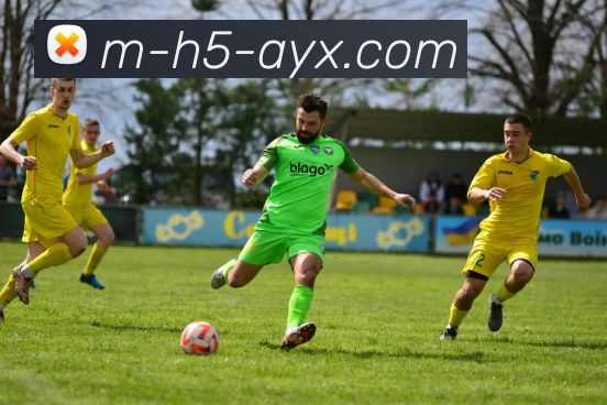 爱游戏APP 封面图